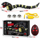 Remote Control Snake Toy